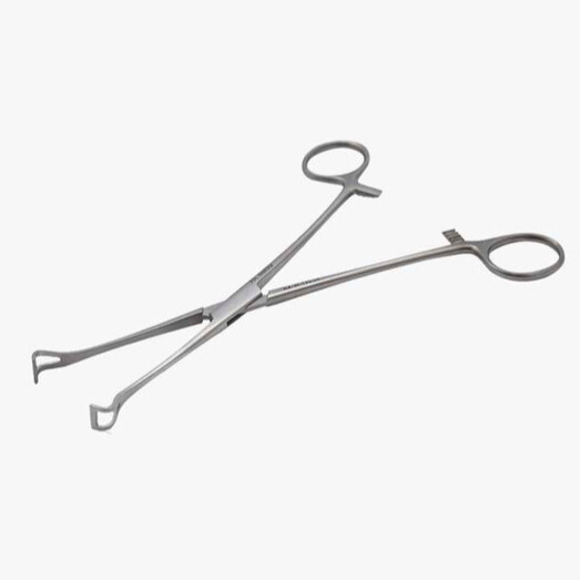 BABCOCK PINZA 16 CM. 2.webp